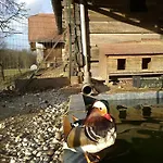 Aneri * Ljubljana