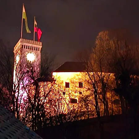 Aneri 公寓 卢布尔雅那