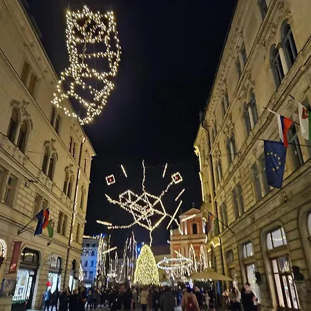 Aneri 公寓 卢布尔雅那