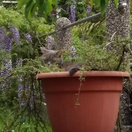 Apartman Aneri Ljubljana