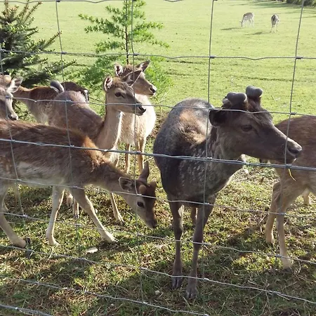 Apartman Aneri Ljubljana