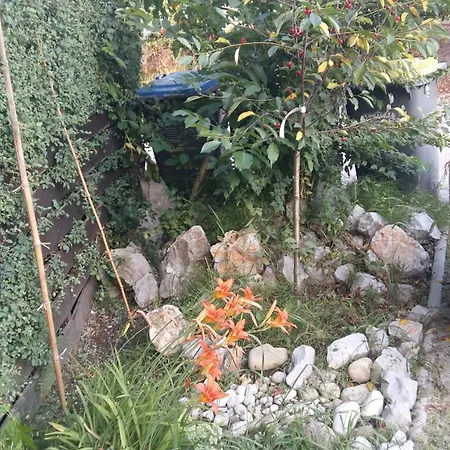 Aneri 公寓 卢布尔雅那