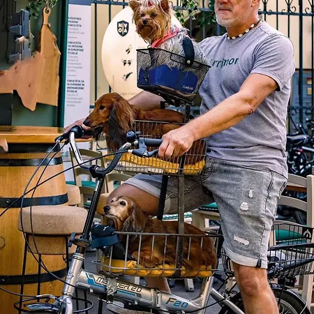 Διαμέρισμα Aneri *