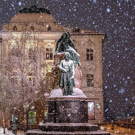 Aneri 卢布尔雅那