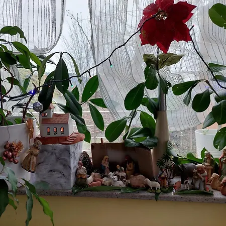 Aneri Apartament *