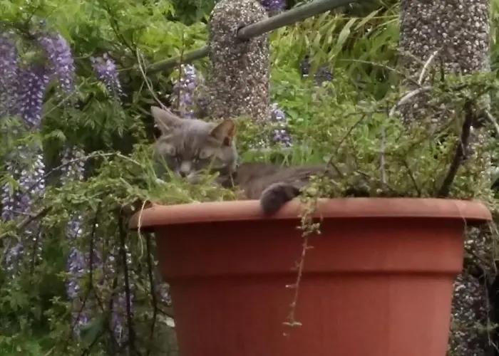 Apartment Aneri Laibach