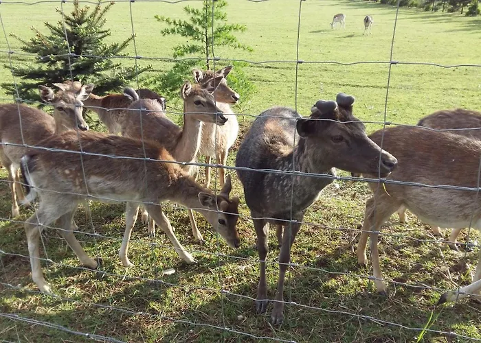 Apartamento Aneri Liubliana