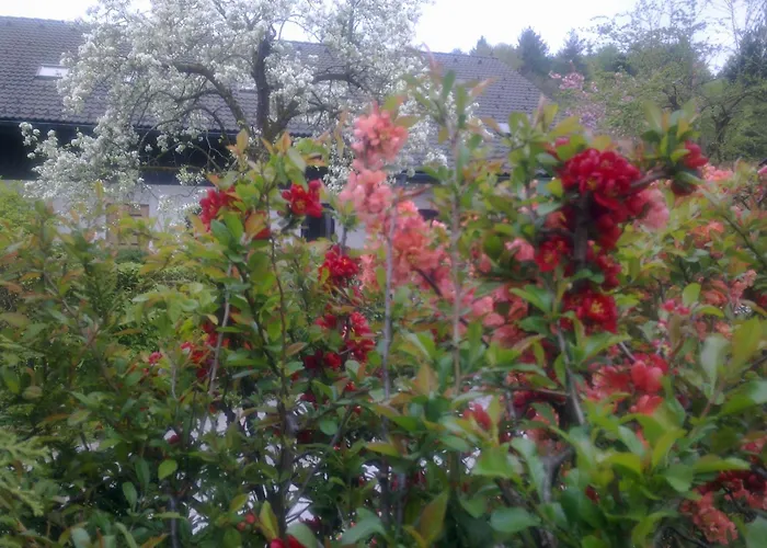 Aneri Appartement Ljubljana