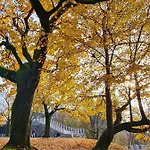 Aneri * Ljubljana
