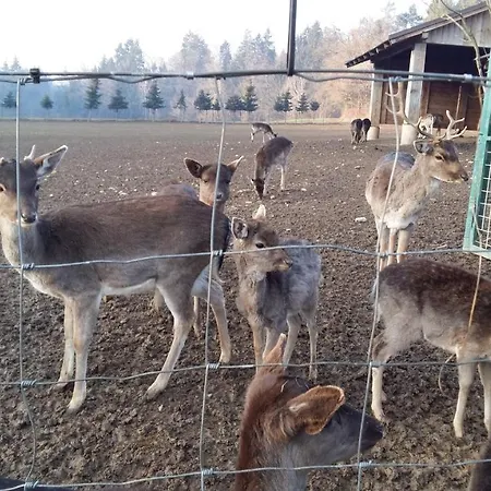 Апартаменты Aneri *