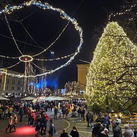 Aneri Любляна