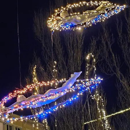 Aneri Любляна