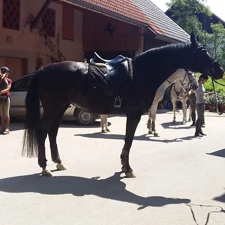 Апартаменты Aneri Любляна