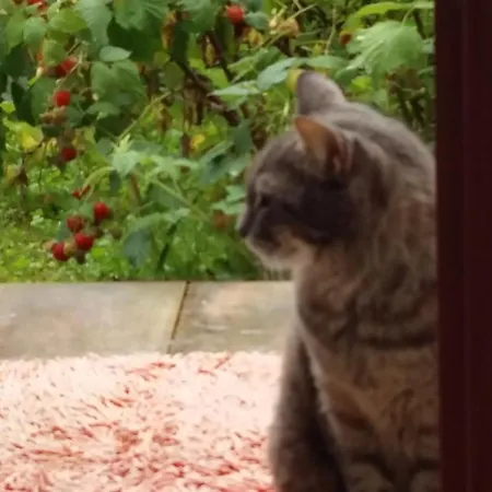 Aneri Апартаменты Любляна