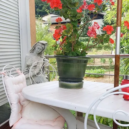 Aneri Любляна