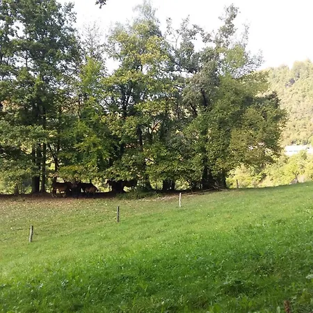 Апартаменты Aneri *