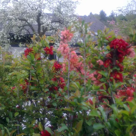 Aneri Lejlighed Ljubljana