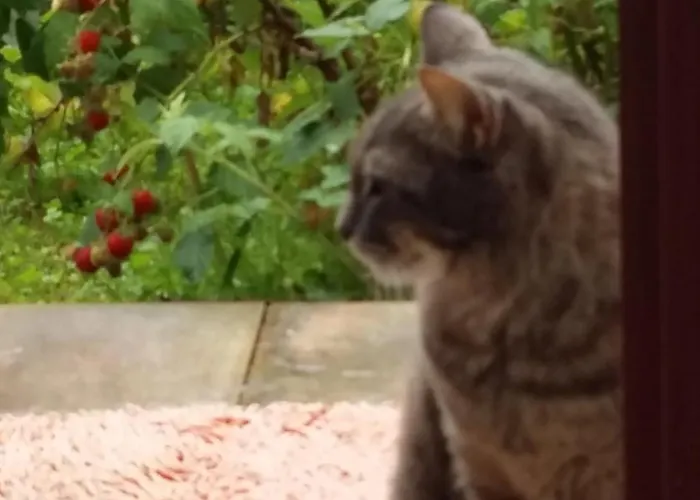 Aneri Lejlighed Ljubljana